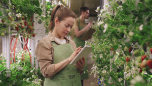 100 milioni per l’agricoltura