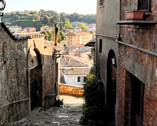 Centro storico ghiacciato ad Acquapendente, la sindaca Terrosi: “Fenomeno assolutamente imprevedibile”