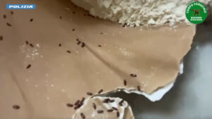 Blatte e 250 chili di prodotti scaduti, chiuso bar a Catania