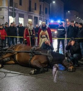 Tragedia alla “Cavalcata dei Re Magi”, cavallo scivola e muore sul selciato: il sindaco non sospende l’evento (VIDEO)