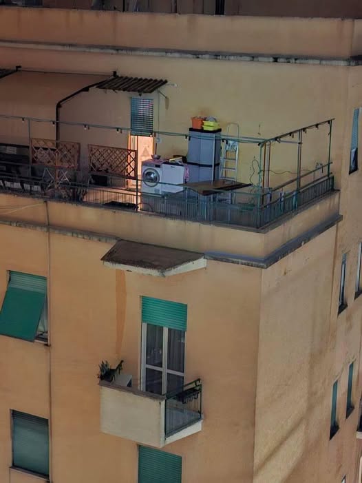 Roma, cane da giorni su un balcone sotto la pioggia: risolutivo l’intervento dell’animalista Rizzi (VIDEO)