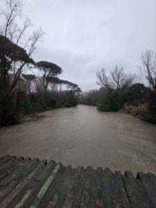 Allerta arancione a Roma, il sindaco Gualtieri emana ordinanza: stop ad eventi e chiusura parchi e cimiteri