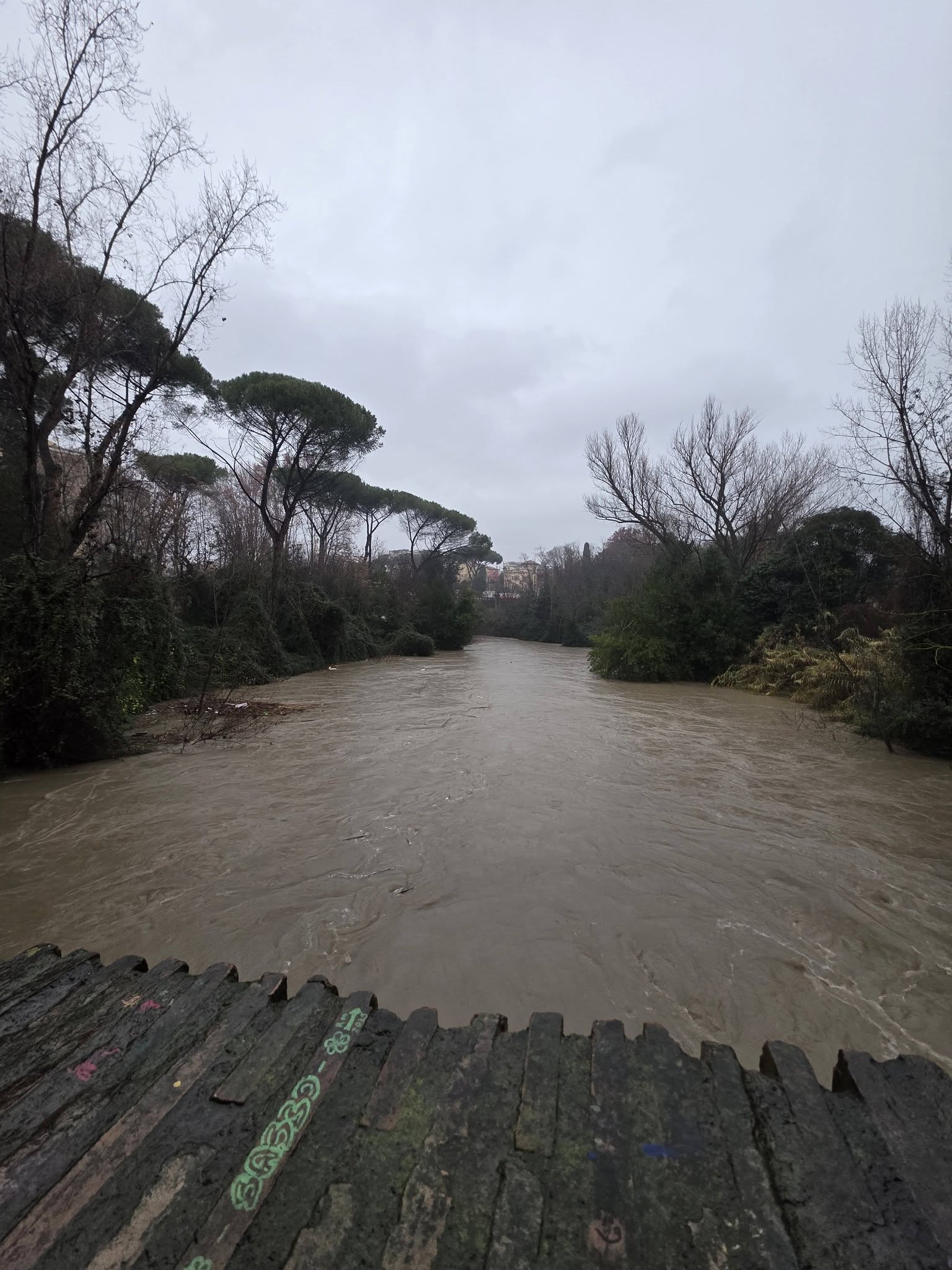 Allerta arancione a Roma, il sindaco Gualtieri emana ordinanza: stop ad eventi e chiusura parchi e cimiteri