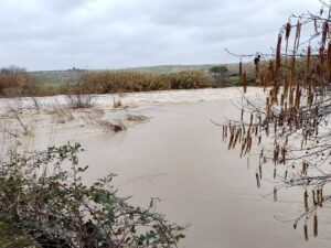 Allerta meteo a Tarquinia: il fiume Mignone sotto osservazione (FOTO)