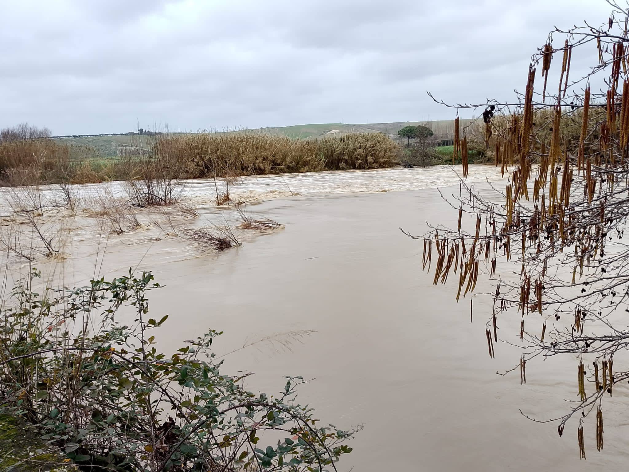 Allerta meteo a Tarquinia: il fiume Mignone sotto osservazione (FOTO)