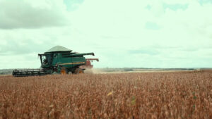 L’agroalimentare italiano vale il 15% dell’economia