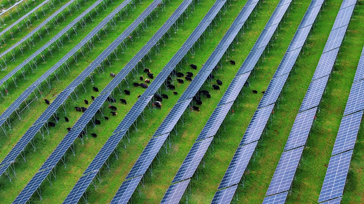 Cina, nel Sichuan attivato importante progetto fotovoltaico ad alta quota