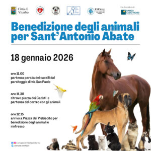 Viterbo, benedizione degli animali e parata dei cavalli per Sant’Antonio