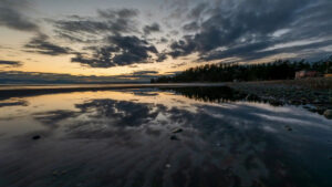 I “segreti” della cronobiologia