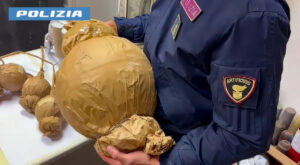 Artificieri della polizia, sequestrati 27.500 chili di esplosivi nel 2025