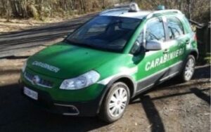 Latina: caccia di merli e tordi in area protetta, denunciati due bracconieri