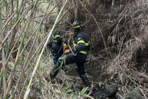 Cerveteri – Cavallo disorientato cade in un dirupo: salvato dai Vigili del fuoco