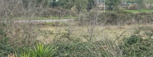 Anguillara – Ventunenne pedinato tra le strade di campagna e arrestato dai carabinieri
