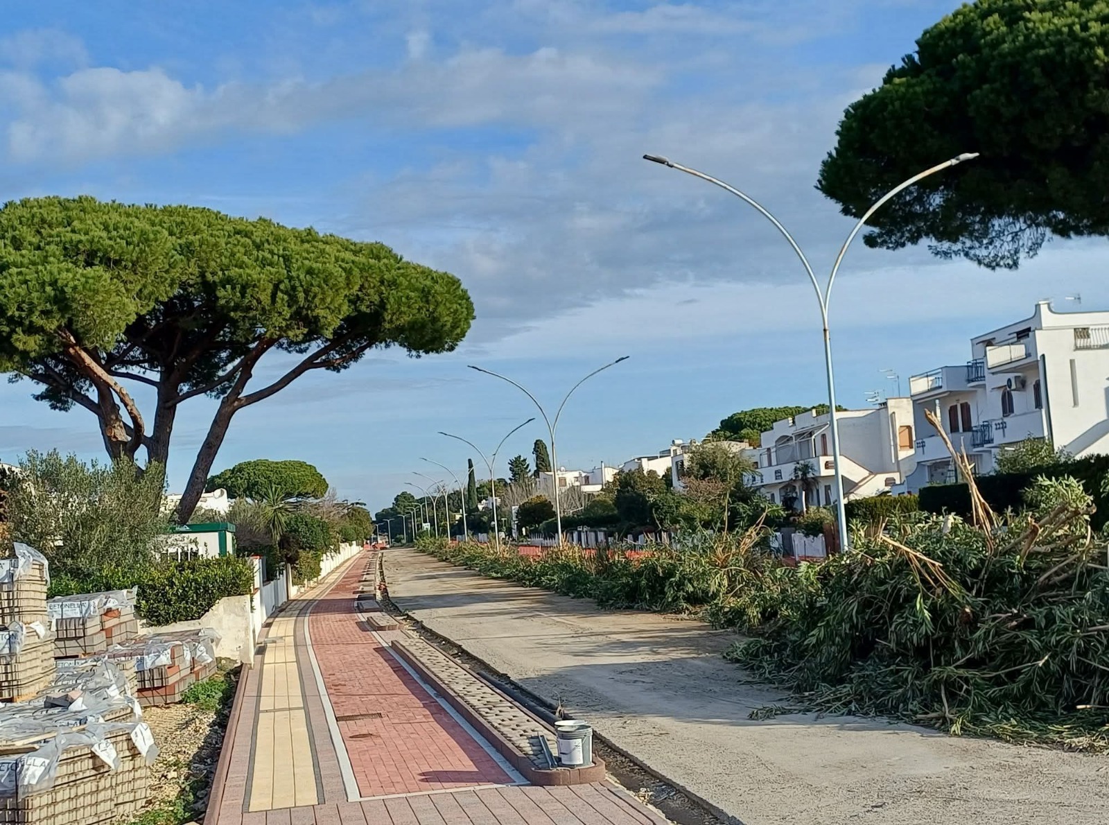 Montalto Marina – Lavori in via delle Vele, tolti i pini e pronte le ciclabili