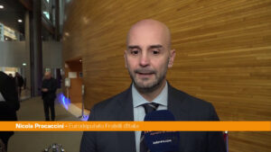 Procaccini “Dividere l’Unione Europea dagli Stati Uniti è un errore”