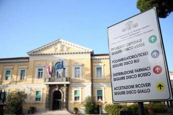 Sorveglianza e prevenzione della Dengue, dallo Spallanzani aggiornamento linee guida