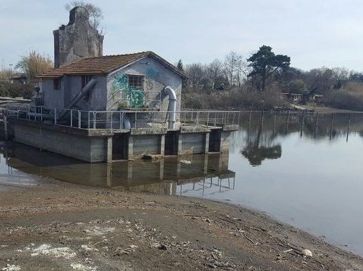 Disastro ambientale del lago di Bracciano: “L’imputato Saccani pensava di avere a che fare con una piscina, non con un ecosistema protetto”