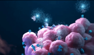 Tumori: prostata, ‘in Lombardia e Basilicata primi progetti di screening, ora regia nazionale’