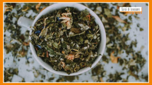 Sorsi di Benessere – Una tisana con betulla e tarassaco