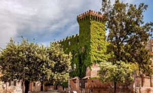 Montalto di Castro – “Addizionale Irpef e cantieri fantasma”: il Pd accusa la giunta di immobilismo