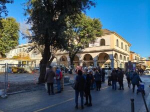 Civitavecchia – Abbattimento lecci, il Comitato tuona ancora: “Il Sindaco si ostina, esistono alternative”