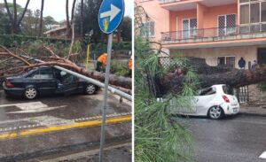Roma – Tragedia sfiorata per il maltempo, due enormi pini cadono distruggendo auto e asfalto (VIDEO)
