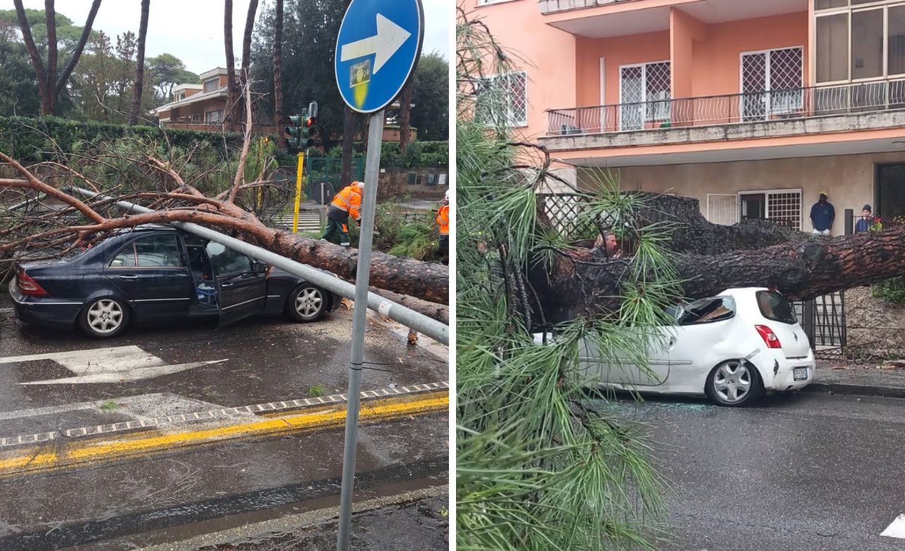 Roma – Tragedia sfiorata per il maltempo, due enormi pini cadono distruggendo auto e asfalto (VIDEO)