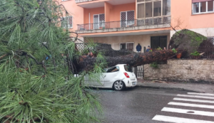 Roma – Tragedia sfiorata per il maltempo, due enormi pini cadono distruggendo auto e asfalto (VIDEO)