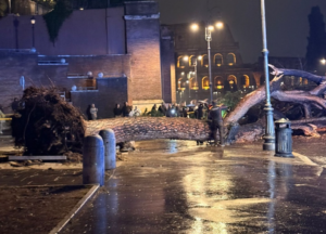 Maltempo senza tregua a Roma: alberi caduti, strade chiuse e disagi su strade e ferrovie