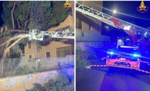 Civitavecchia – Maltempo, notte da incubo in via Apollodoro: due pini giganti crollano su un palazzo