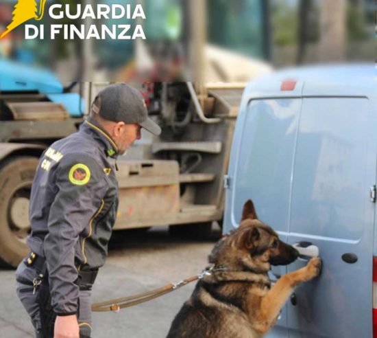 Tarquinia – Incastrato dal fiuto infallibile del cane antidroga Frida: arrestato trentaquattrenne con oltre 30 grammi di cocaina