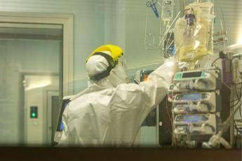 Covid, 6 anni fa il paziente 1. Andreoni: “Ecco cosa non abbiamo imparato”