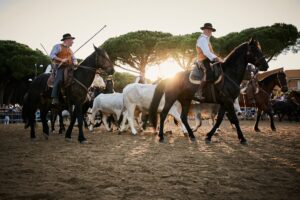 Montalto di Castro – Maremma D’Amare, alla Marina torna la grande fiera delle tradizioni maremmane (FOTO)