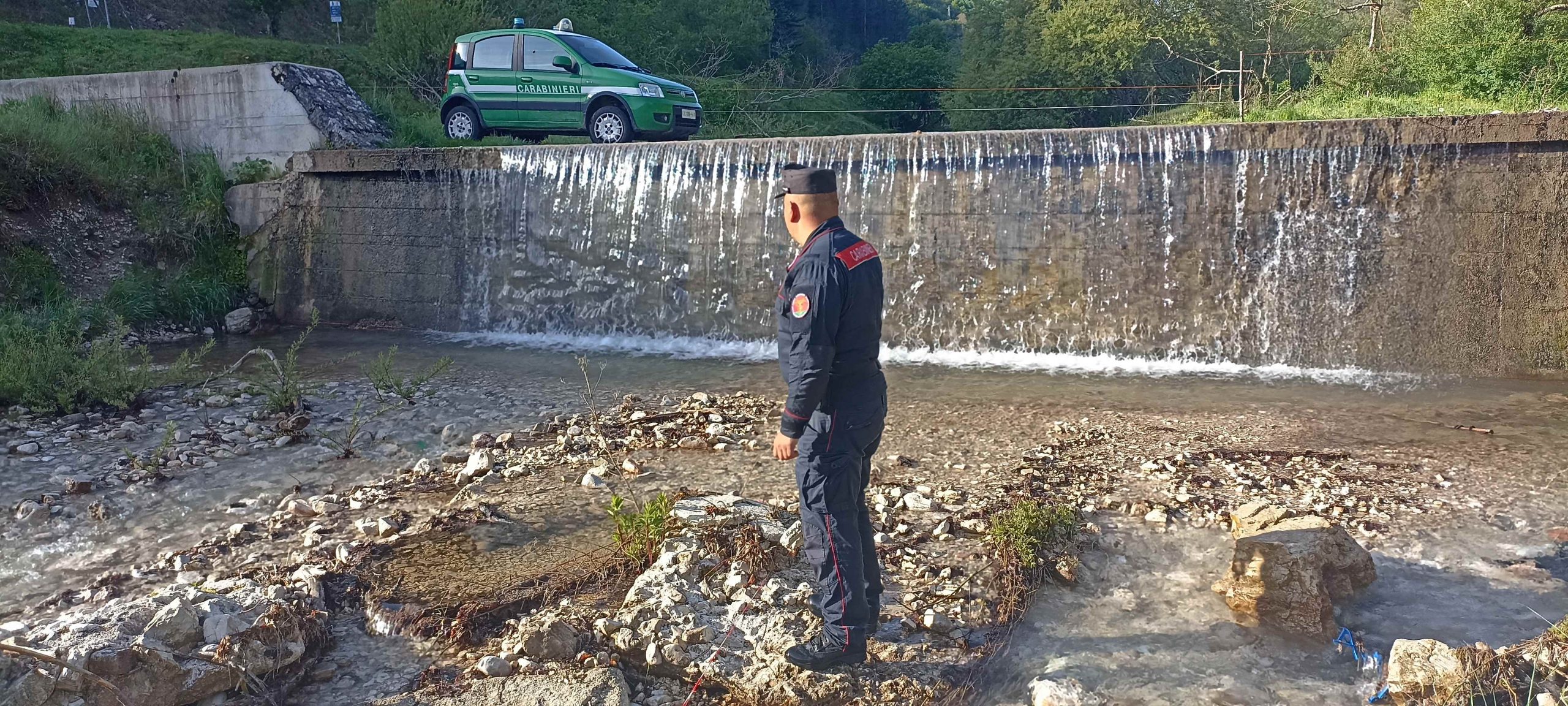 Attività carabinieri forestali: nel 2025 oltre 81000 controlli e sanzioni per un milione e mezzo di euro