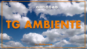 Tg Ambiente – 8/2/2026