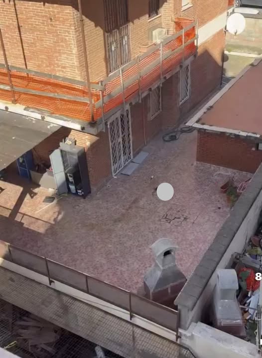 Ostia – Cagnolino precipita dal terzo piano e si schianta al suolo: scontro sulle responsabilità (VIDEO)