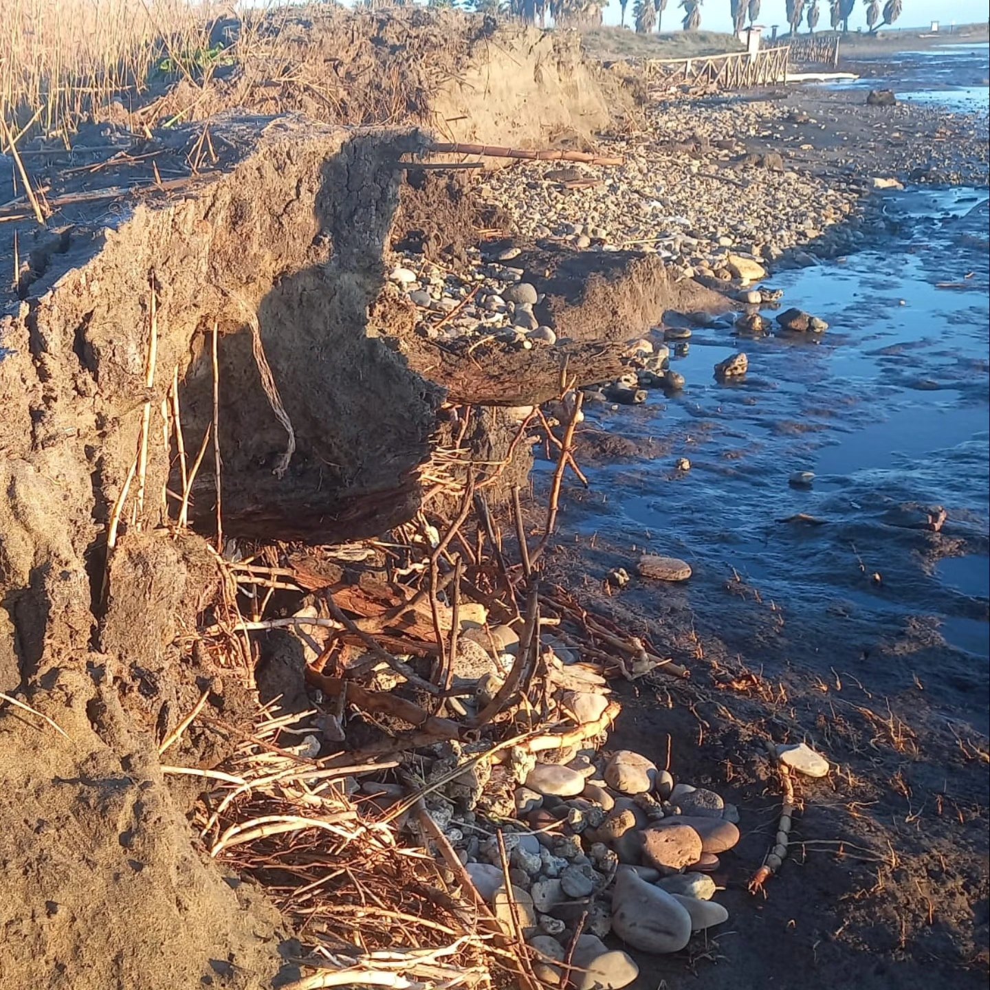 Sos Torre Flavia: le mareggiate hanno devastato la spiaggia, la sindaca Gubetti fa appello alla Regione