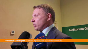 Lollobrigida “Rilanciamo il servizio civile in agricoltura”