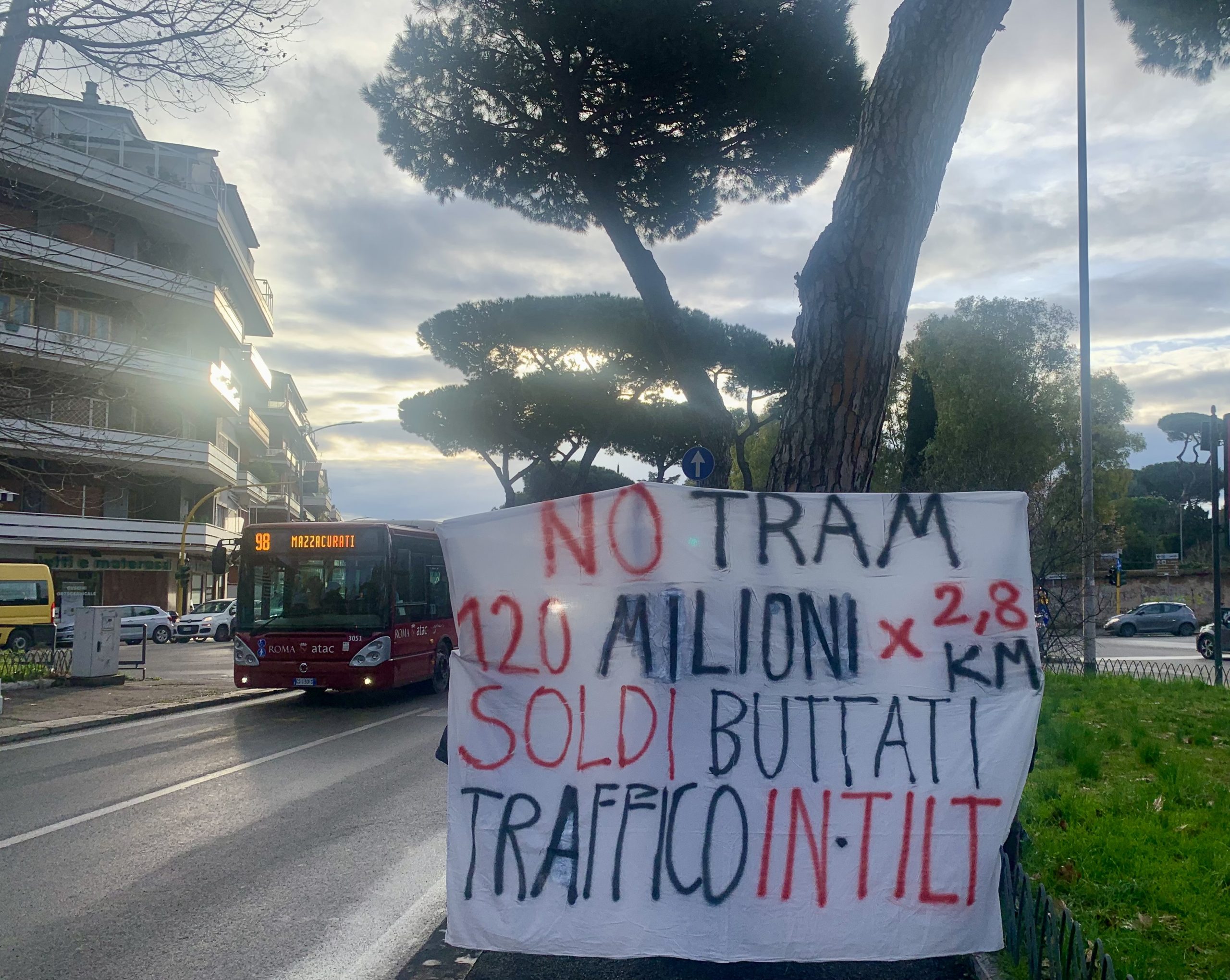 Roma – 155 pini a rischio su via Gregorio VII: i dubbi dei residenti sulla necessità dell’abbattimento