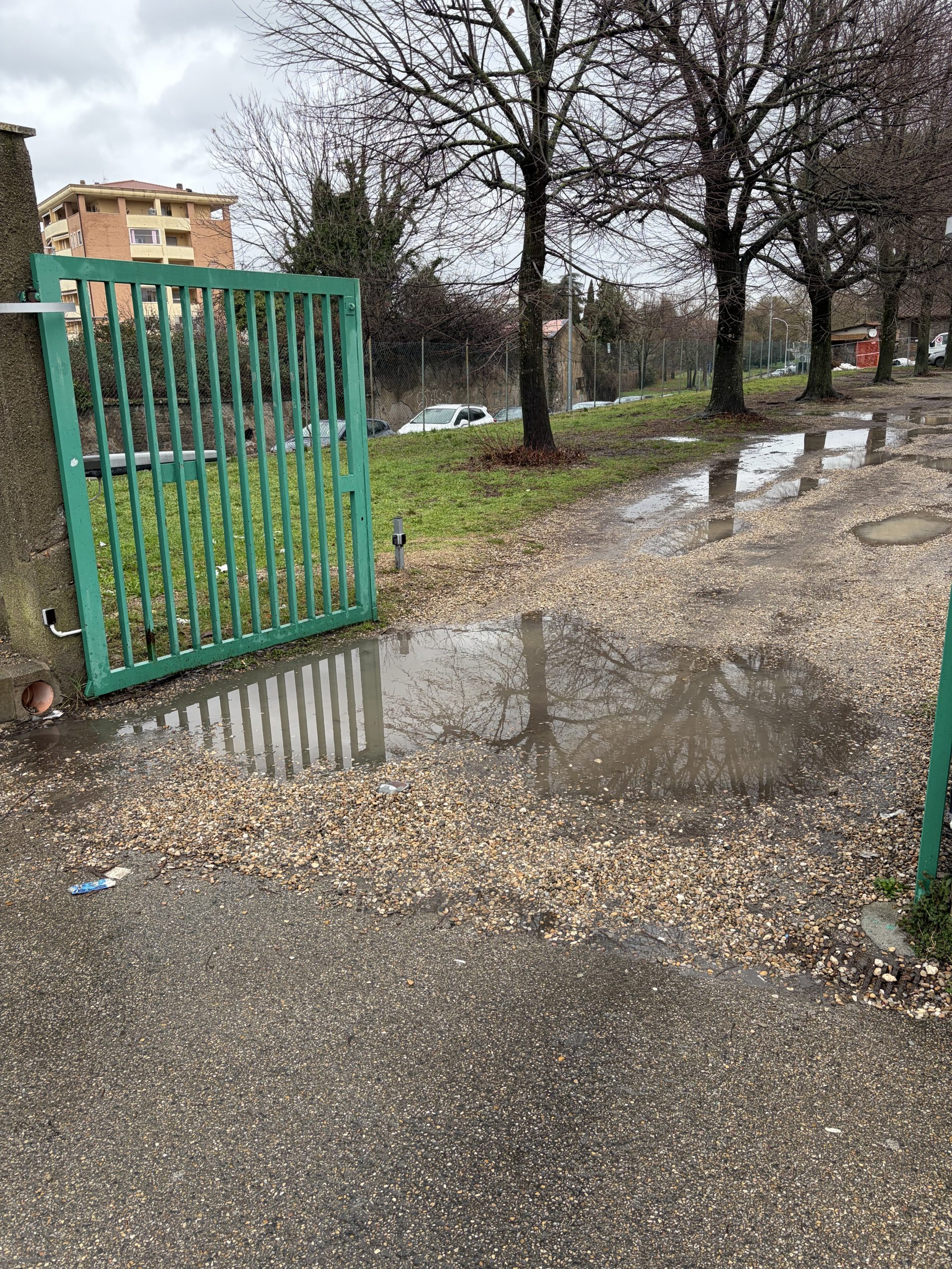 Viterbo – Scuola Ellera, Achilli (fdI): “Dopo settimane di segnalazioni da parte di genitori, ancora nessun intervento da parte del comune”