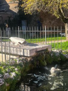 Civita Castellana – Squilibrato distrugge Fontana delle acque vergini