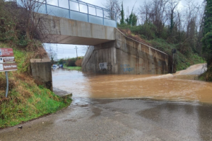 Tuscia – Maltempo, la Provincia porta in aula la richiesta di stato di calamità
