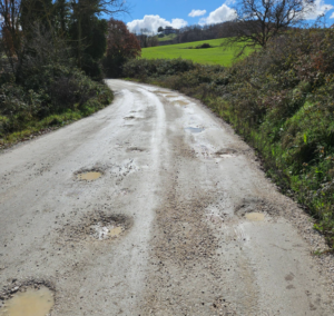 Montefiascone – Buche e vegetazione sulla Francigena: la denuncia dei cittadini
