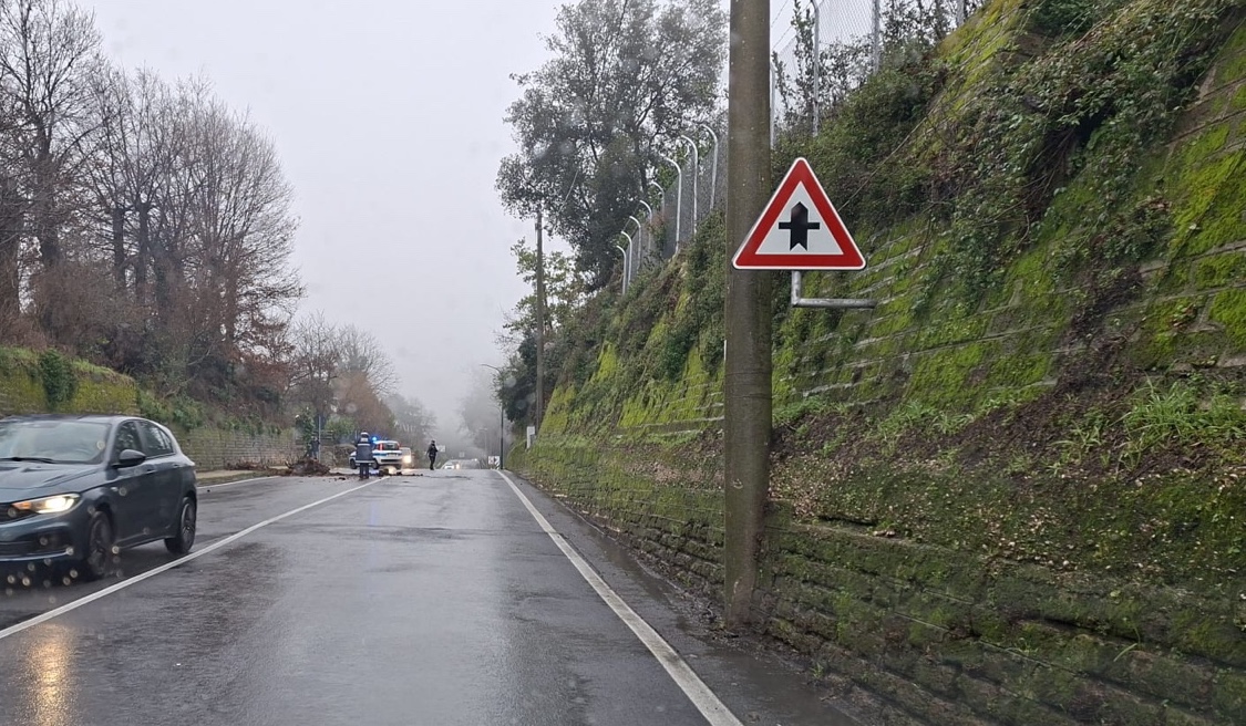 Maltempo – Crolla un pezzo di albero sulla Braccianese Claudia tra Manziana e Oriolo Romano