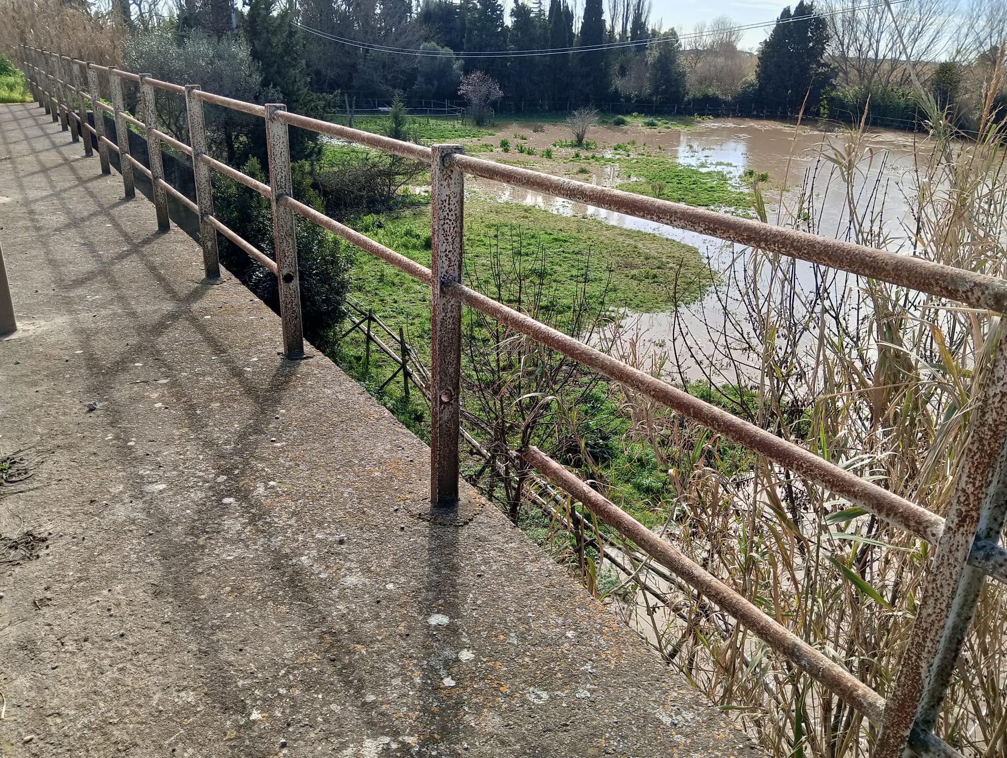 Tarquinia – Ponte sulla Litoranea in condizioni critiche: allarme per la sicurezza (FOTO)