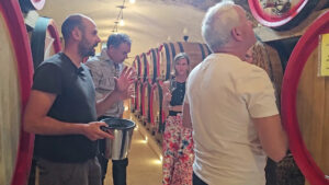 Ue, dalla Commissione nuovi bandi per l’agroalimentare