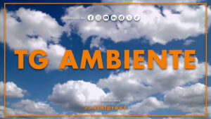 Tg Ambiente – 22/2/2026