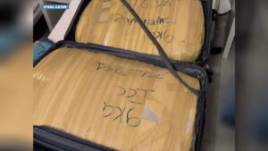 130 chili di marijuana in 6 valigie, due arresti a Milano