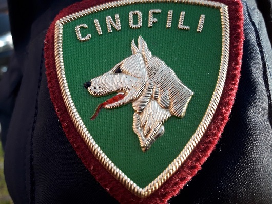 Sora – Progetto “Scuole Sicure”: controlli della polizia per la prevenzione e repressione dello spaccio di droga nei pressi degli istituti scolastici