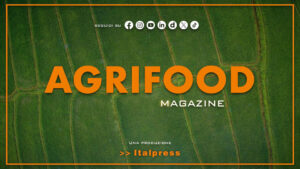 Agrifood Magazine – 11/2/2026